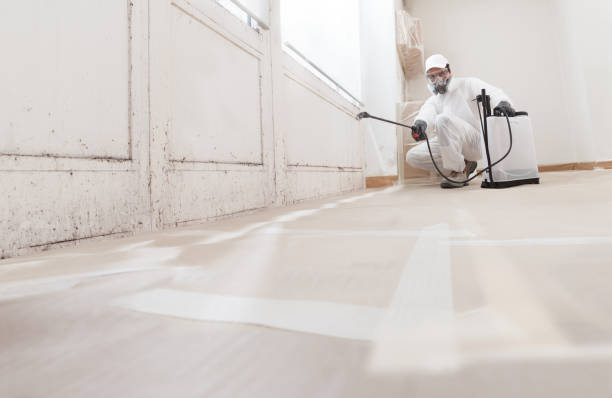 24/7 Emergency Basement Mold Remediation experts in Glenwood, IL